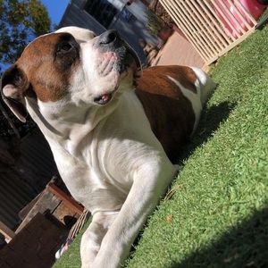 Meet your Posher, Lexi